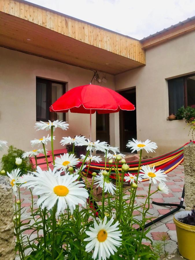 Guesthouse And Cottage Nicolo Kazbegi Bagian luar foto